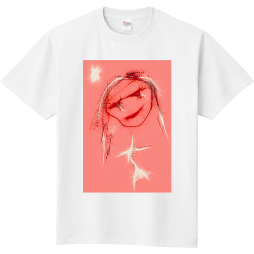 私だらけのステージ 定番Ｔシャツ