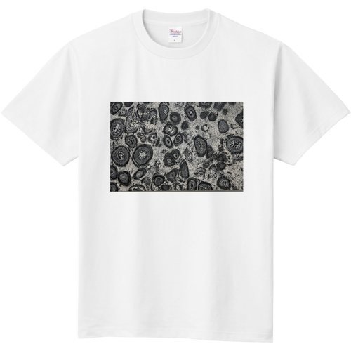 ストーンストーンストーン 定番Ｔシャツ