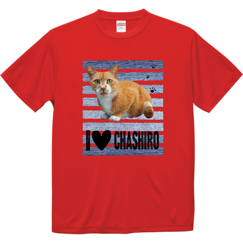 I♥茶白猫さん（デニムライン）ドライＴシャツ ドライシルキータッチTシャツ