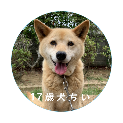 17歳犬ちいアクリルバッチ60mm アクリルバッジ丸(Φ60mm)